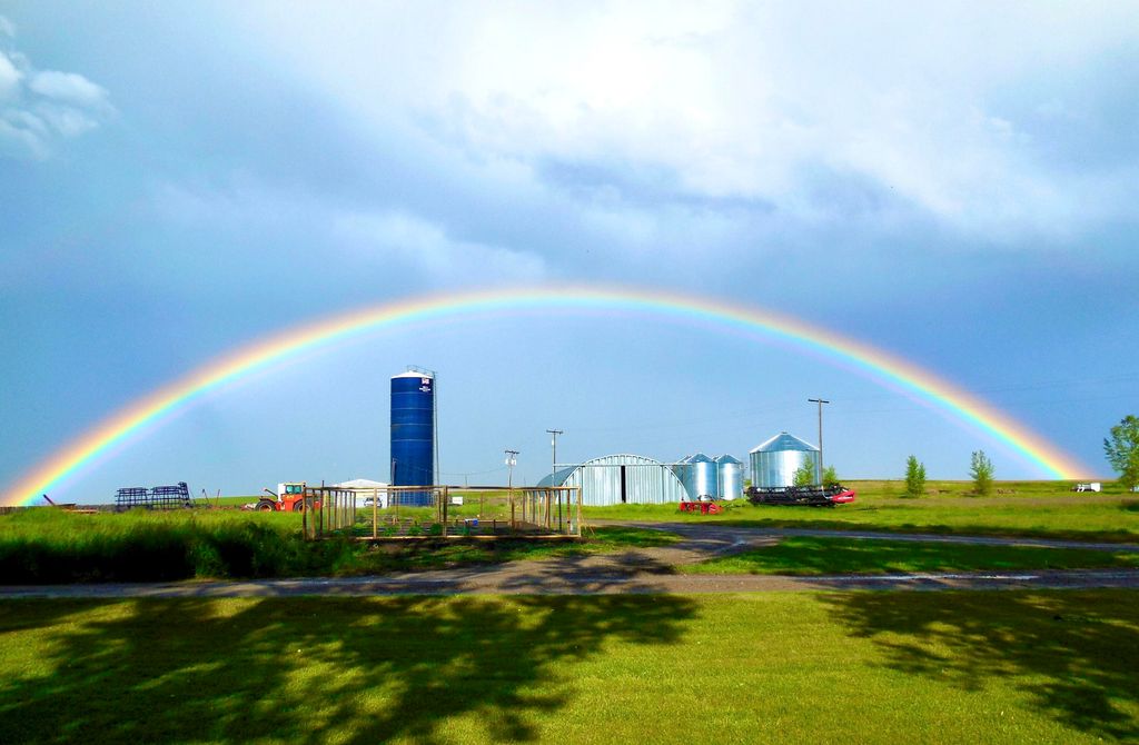 Buena Vista Road, Other - See Remarks, MT 59486 photo 19