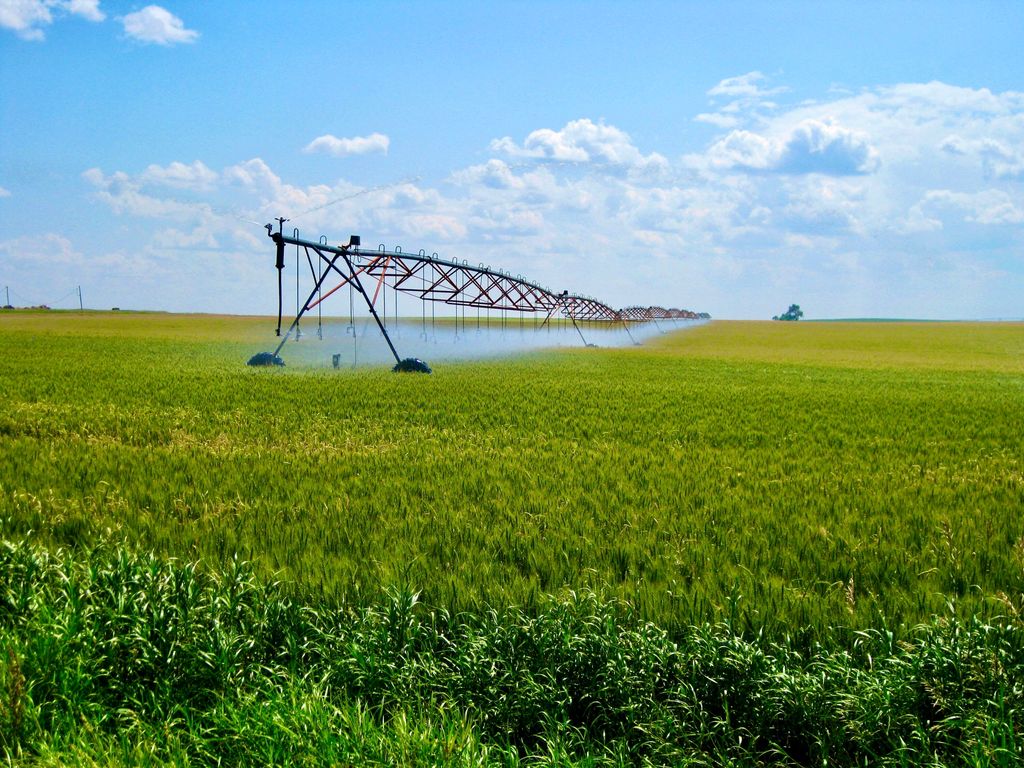 Buena Vista Road, Other - See Remarks, MT 59486 photo 2