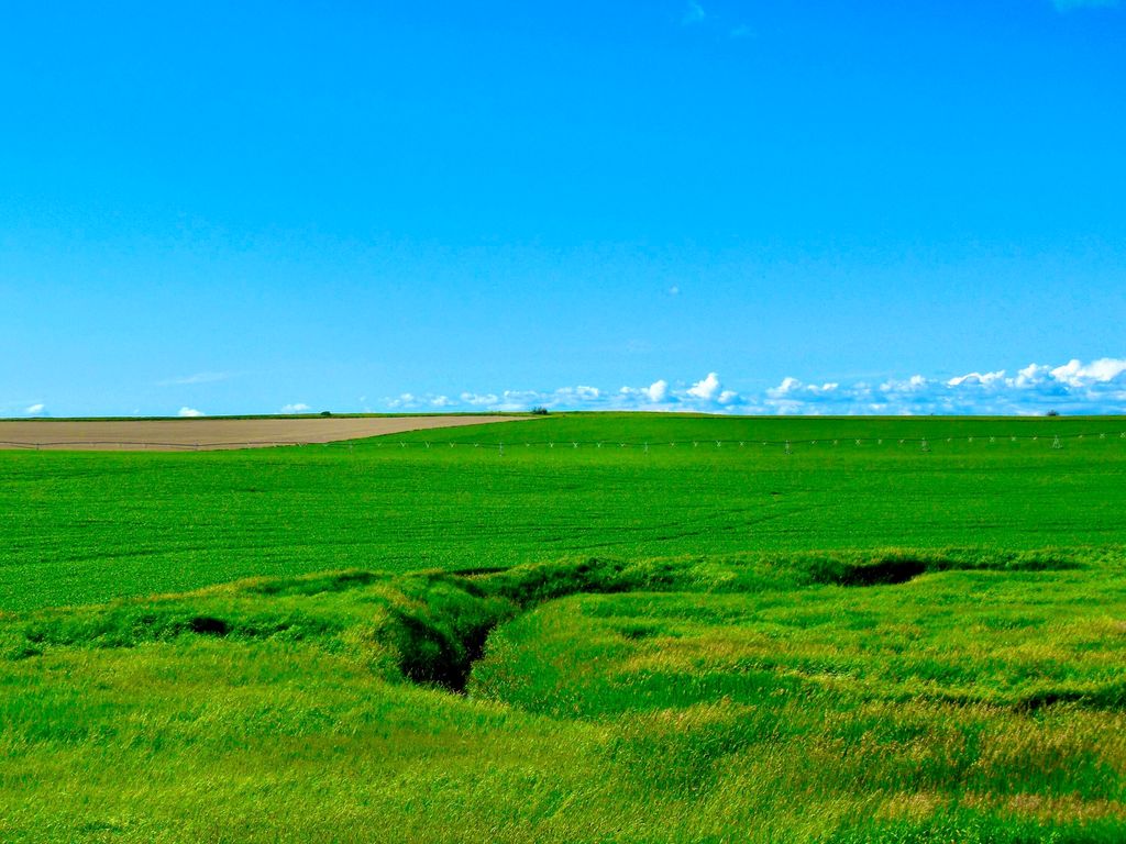 Buena Vista Road, Other - See Remarks, MT 59486 photo 23