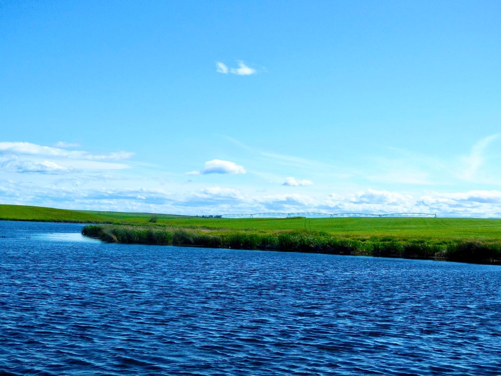 Buena Vista Road, Other - See Remarks, MT 59486 photo 24