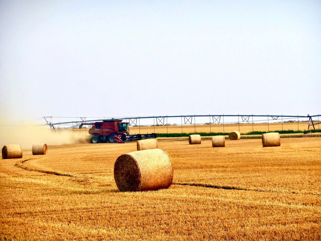 Buena Vista Road, Other - See Remarks, MT 59486 photo 28