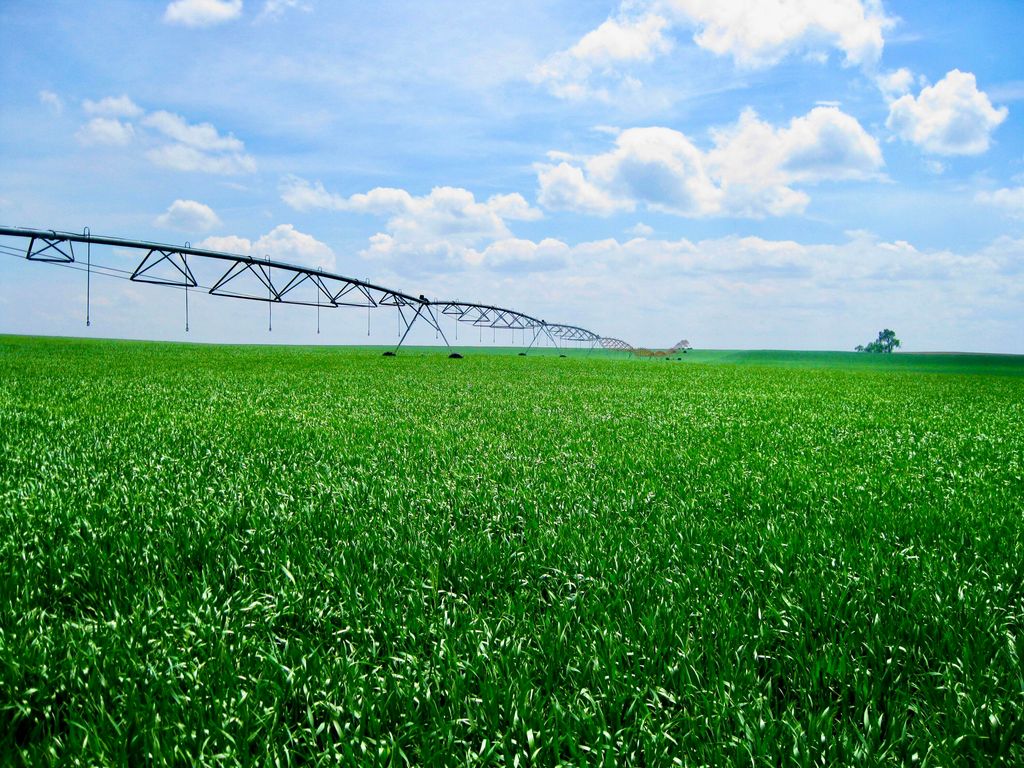 Buena Vista Road, Other - See Remarks, MT 59486 photo 3