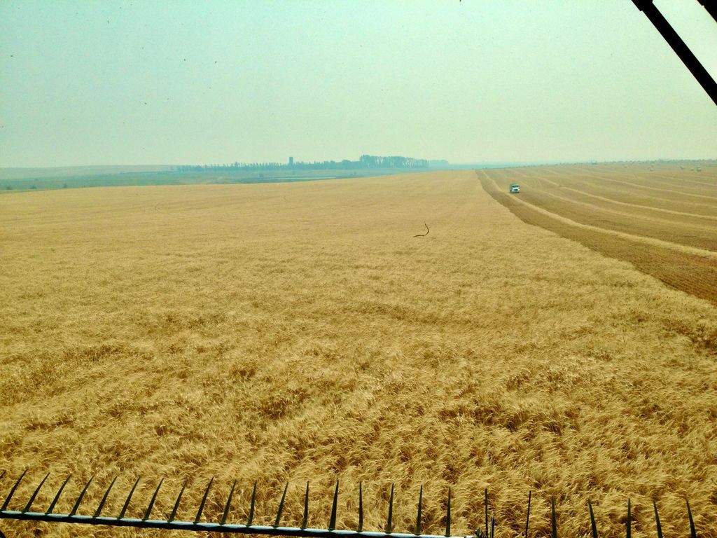 Buena Vista Road, Other - See Remarks, MT 59486 photo 30