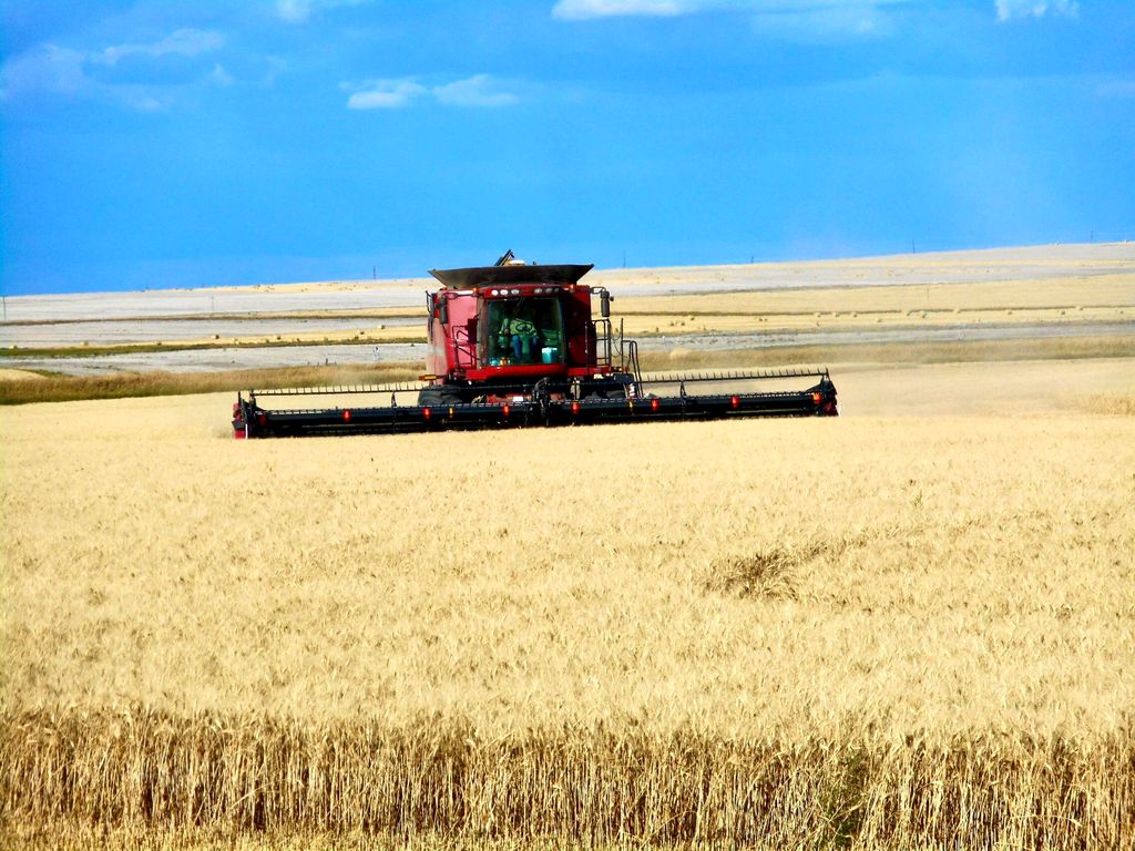 Buena Vista Road, Other - See Remarks, MT 59486 photo 32