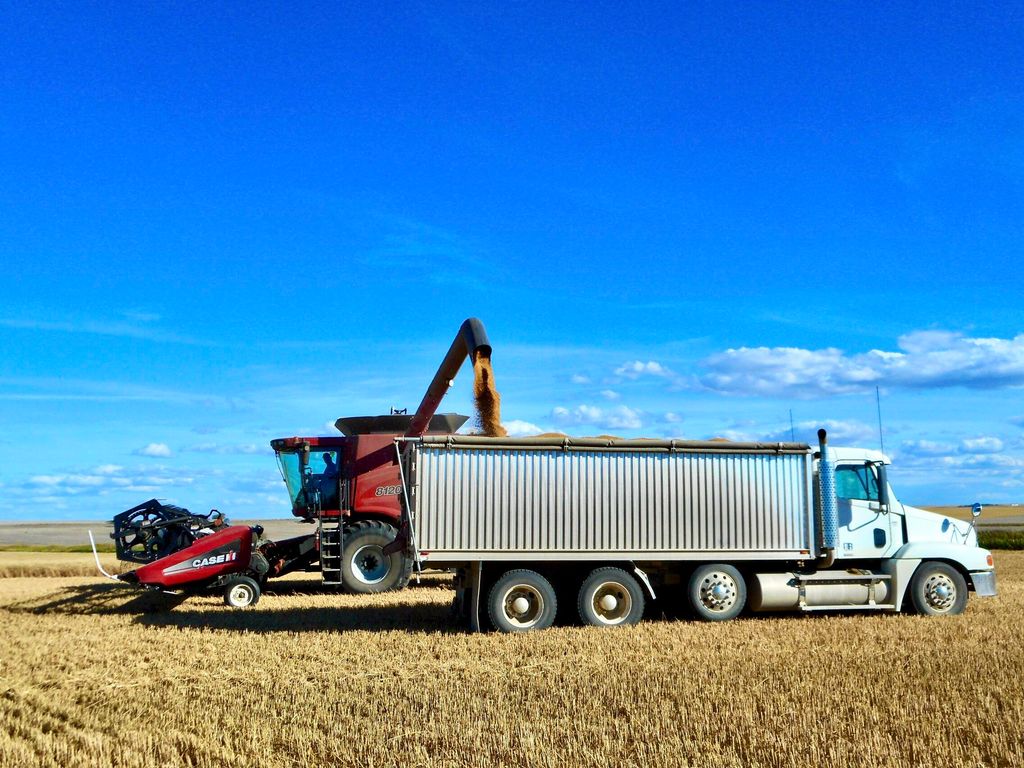 Buena Vista Road, Other - See Remarks, MT 59486 photo 34