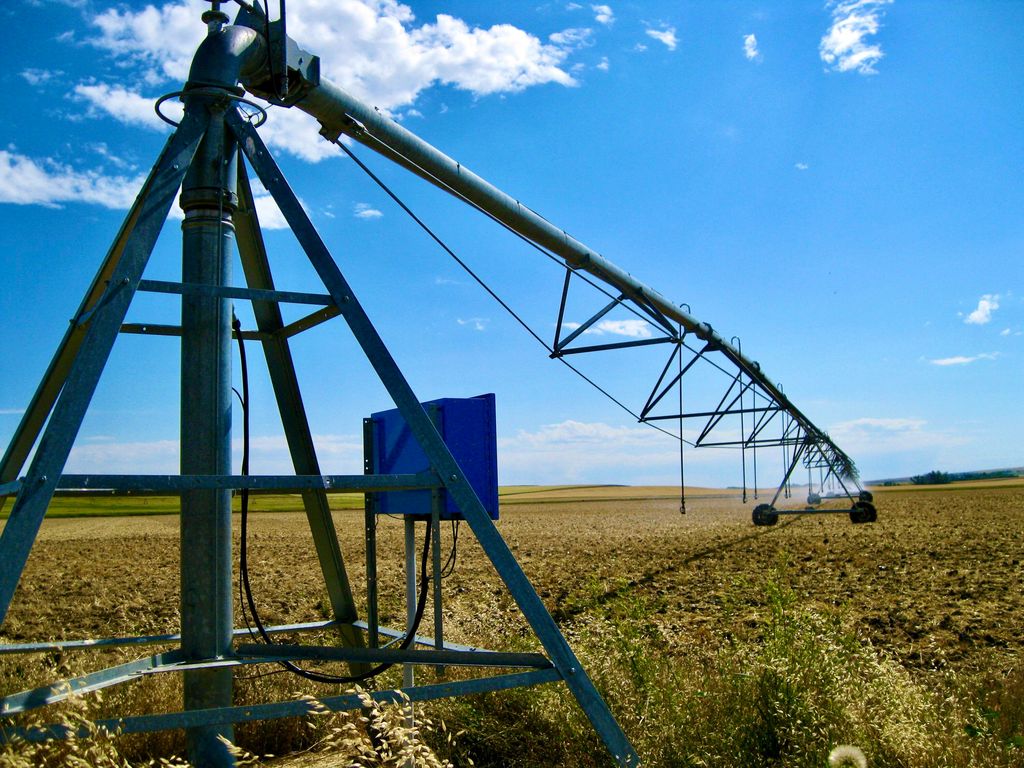 Buena Vista Road, Other - See Remarks, MT 59486 photo 35