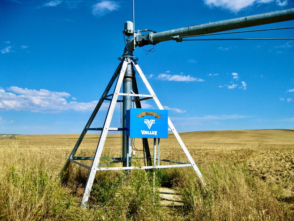 Buena Vista Road, Other - See Remarks, MT 59486 photo 36