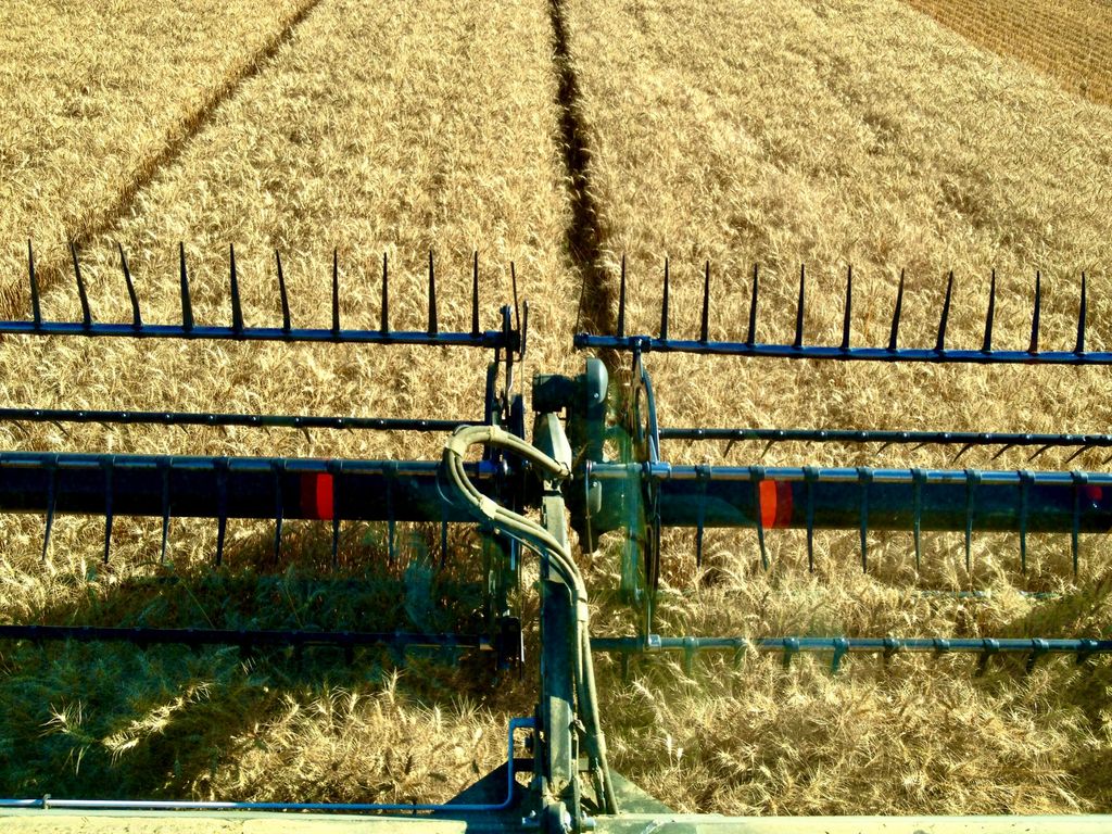 Buena Vista Road, Other - See Remarks, MT 59486 photo 4