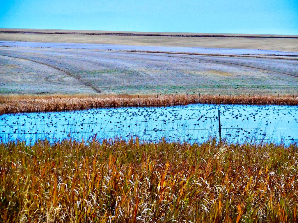 Buena Vista Road, Other - See Remarks, MT 59486 photo 48