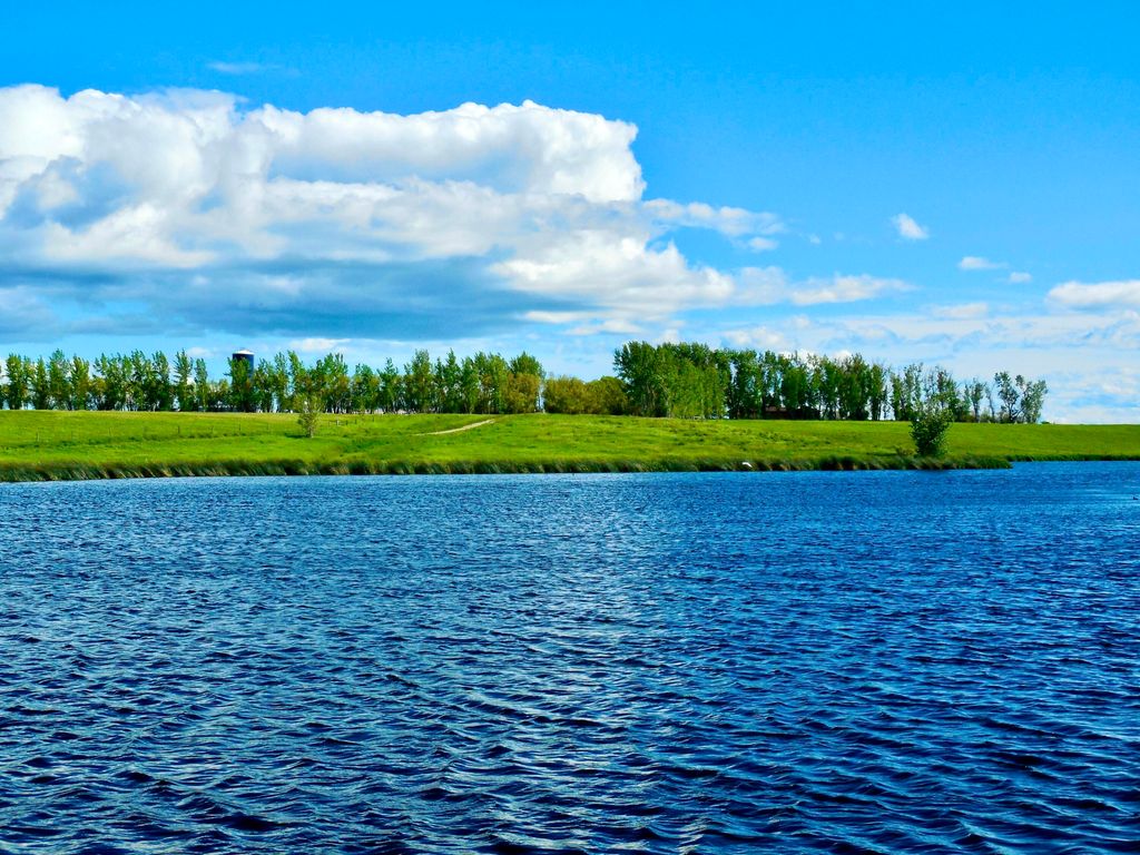 Buena Vista Road, Other - See Remarks, MT 59486 photo 49