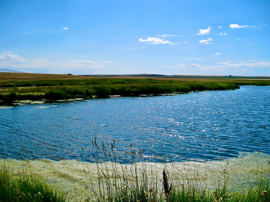 Buena Vista Road, Other - See Remarks, MT 59486 photo 51