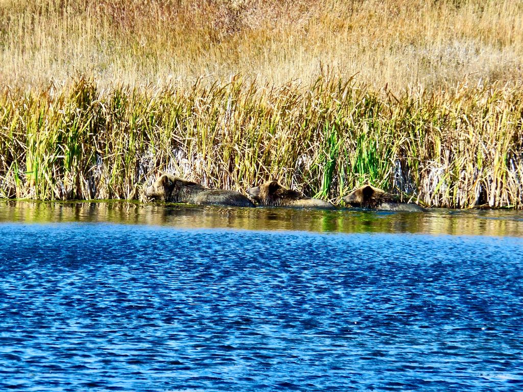 Buena Vista Road, Other - See Remarks, MT 59486 photo 52