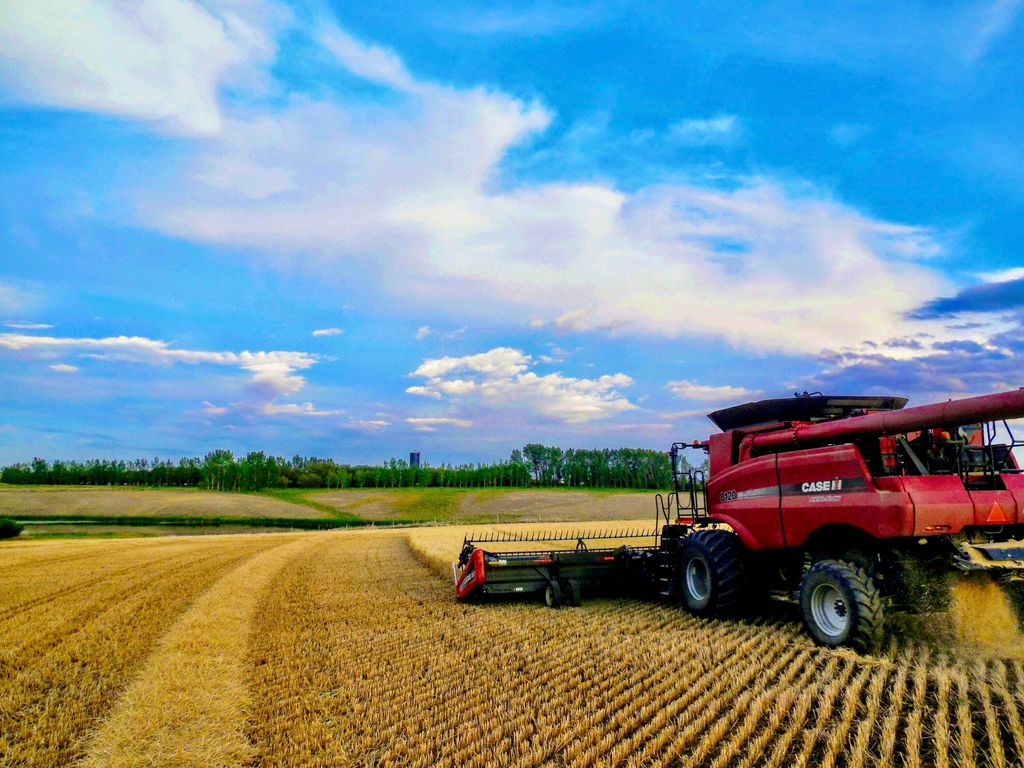 Buena Vista Road, Other - See Remarks, MT 59486 photo 6