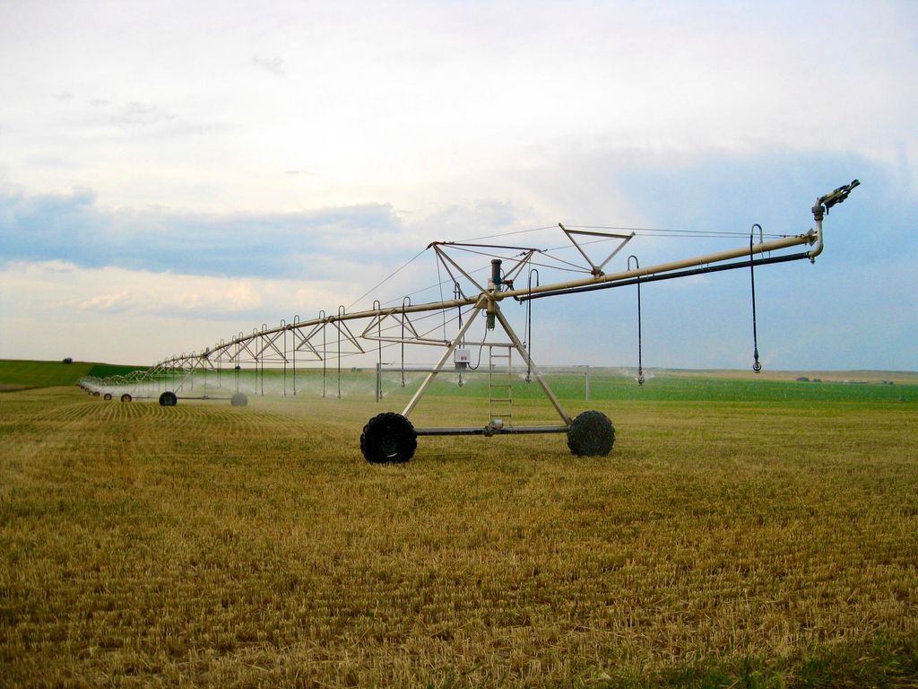 Buena Vista Road, Other - See Remarks, MT 59486 photo 60