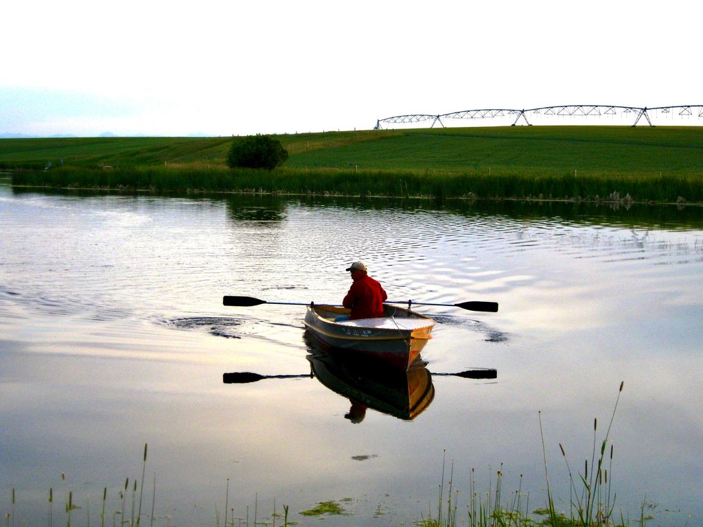 Buena Vista Road, Other - See Remarks, MT 59486 photo 8