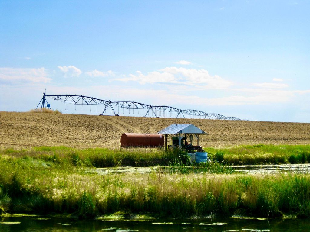 Buena Vista Road, Other - See Remarks, MT 59486 photo 9