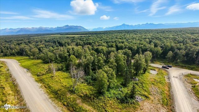 9475 E Hatcher Landing Avenue, Palmer, AK 99645