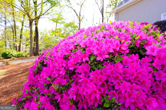 410 Falcon Creek Drive, Suwanee, GA 30024