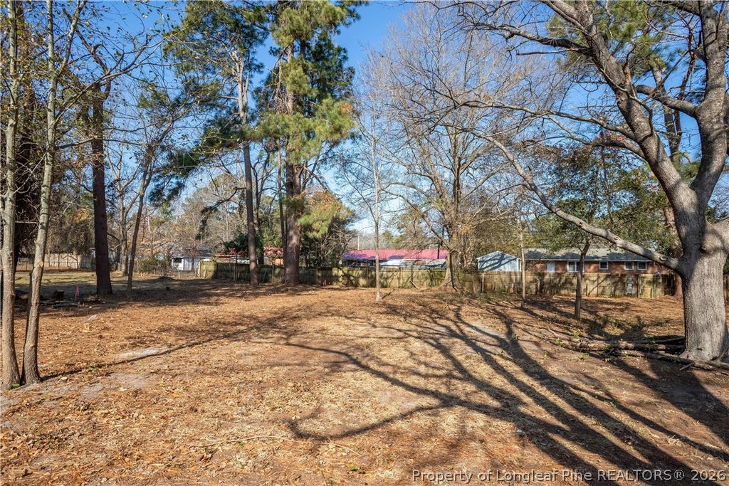 226 Odell Road, Spring Lake, NC 28390 — photo 3