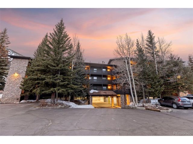 805 S 5th Ave 332, Frisco, CO 80443