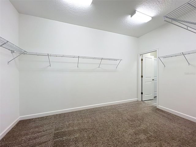 10952 LONGLEAF WOODS DRIVE, Orlando, FL 32832