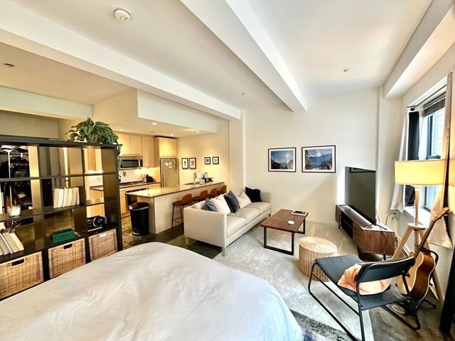 40 Fay Street 207, Boston, MA 02118