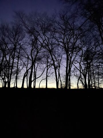 131 Butterfly Ln, Bell Buckle, TN 37020