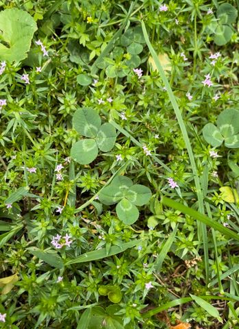 131 Butterfly Ln, Bell Buckle, TN 37020