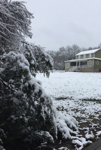 131 Butterfly Ln, Bell Buckle, TN 37020