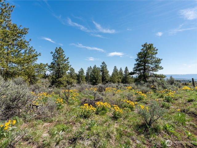 202 Chipmunk Trail Road, East Wenatchee, WA 98802