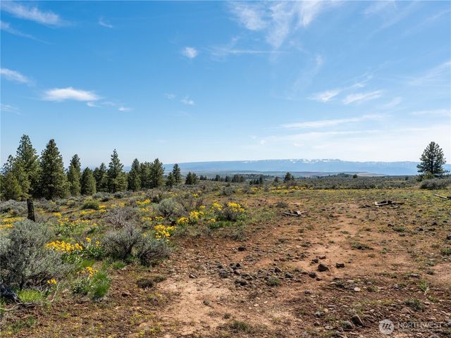 202 Chipmunk Trail Road, East Wenatchee, WA 98802