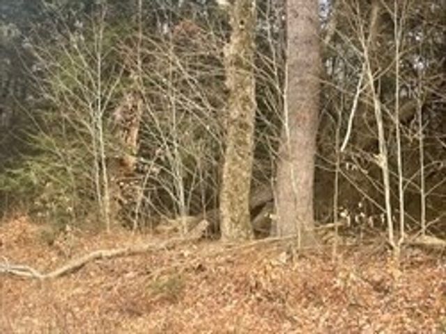 11 Hartland Road, Tolland, MA 01034