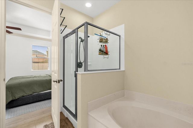 2420 PAINTER LANE, Kissimmee, FL 34741