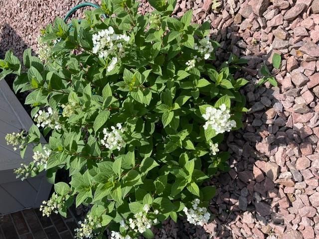 4687 Parkridge Drive, Eagan, MN 55123