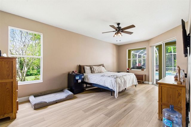 8817 WAVYEDGE COURT, Trinity, FL 34655