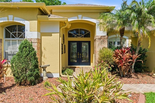 8817 WAVYEDGE COURT, Trinity, FL 34655