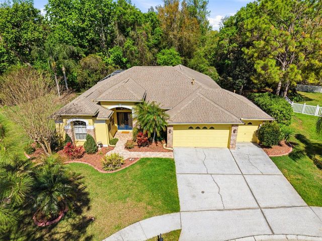 8817 WAVYEDGE COURT, Trinity, FL 34655