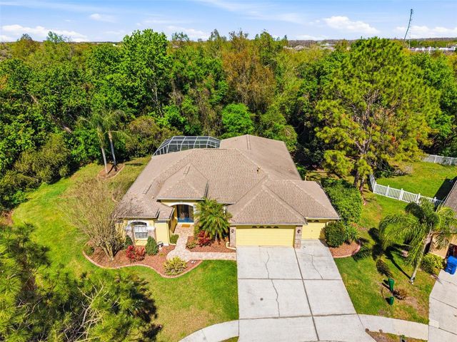 8817 WAVYEDGE COURT, Trinity, FL 34655