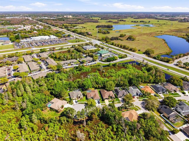 8817 WAVYEDGE COURT, Trinity, FL 34655