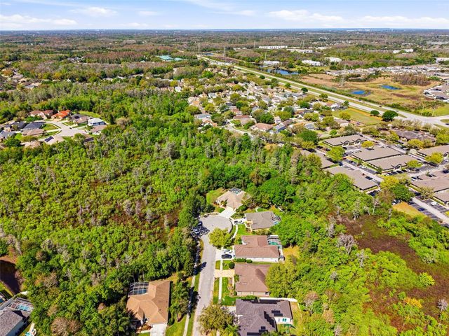 8817 WAVYEDGE COURT, Trinity, FL 34655