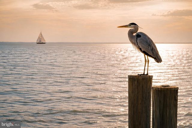 414 BAY DR, Stevensville, MD 21666