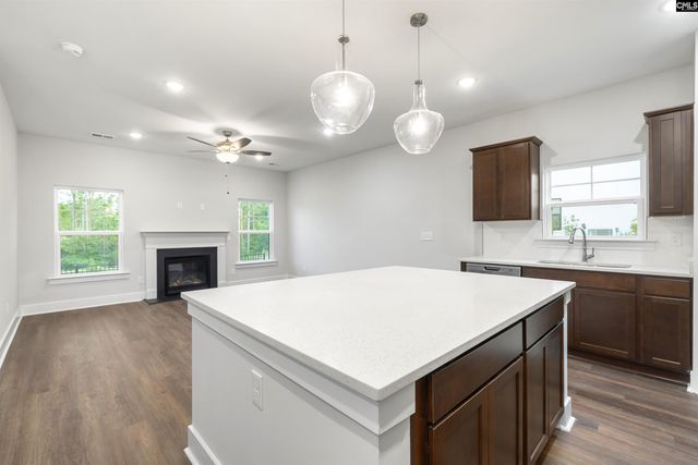 16 Fawn Spot Court, Elgin, SC 29045