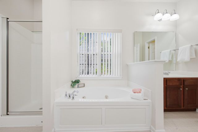 457 Blue Dragonfly Drive, Charleston, SC 29414