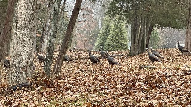 327-331 Hideaway Hills, 327-331, Owenton, KY 40359