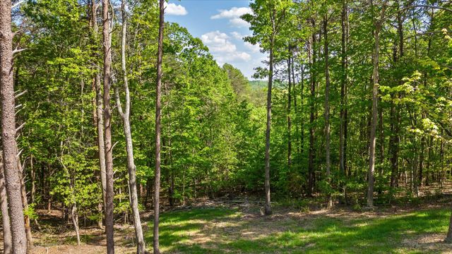 221 Lookout Crest Lane, Lookout Mountain, GA 30750