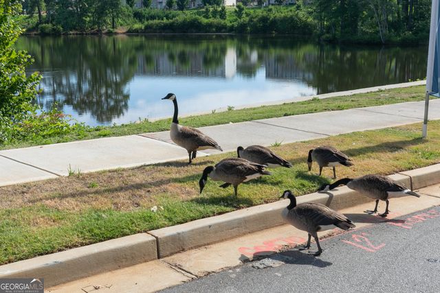 337 Brighton Bend Lane, Acworth, GA 30102