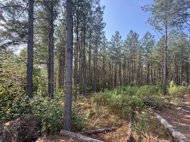 301 Ridgewood Dr, Linden, TN 37096