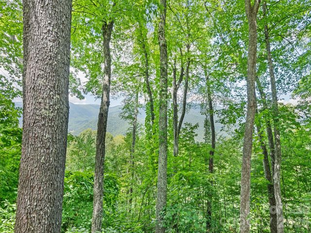 1672 Summit Drive, Maggie Valley, NC 28751