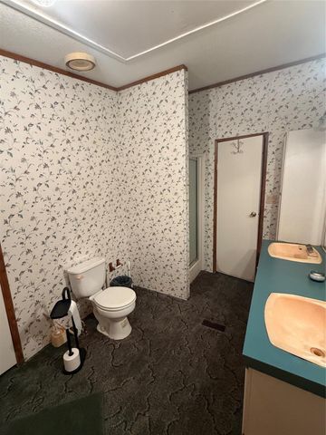 305 Canadian Drive, Trinity, TX 75862