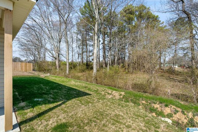 945 STAGECOACH ROAD, Jemison, AL 35085
